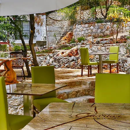 Cinarlar 2* Kaş